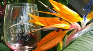 GlassandBirdofParadise-768x428