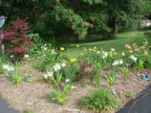 MOM_S_06222013