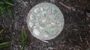 Seashell Stepping Stone - 1801
