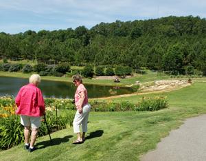 Windyhills Garden Overview (4)
