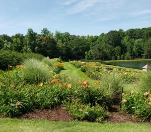 Windyhills Garden Overview (3)