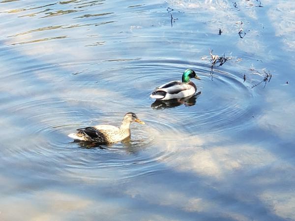 IMG_6270