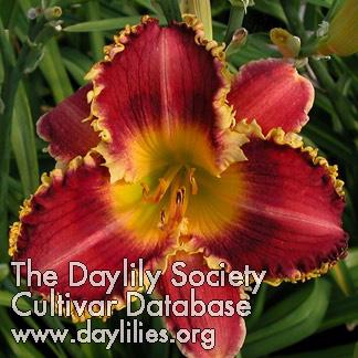 MARY_LENA[
