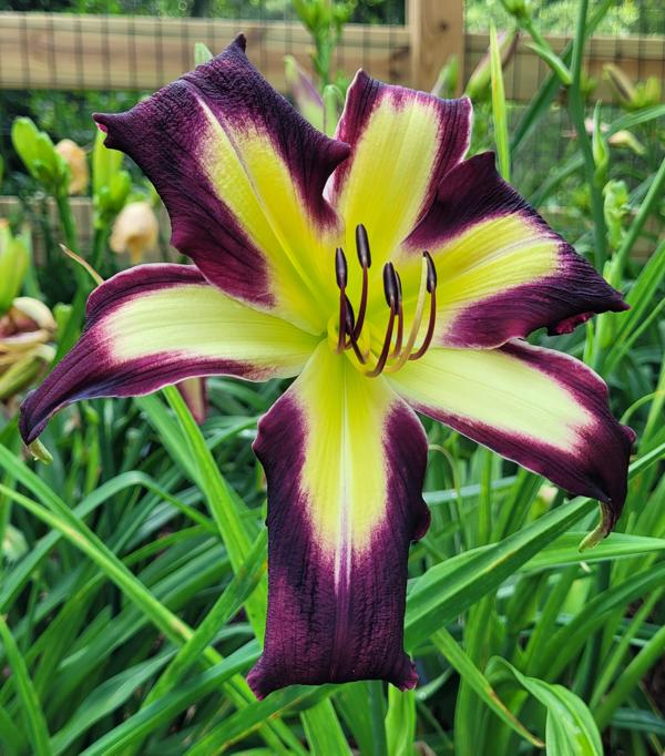 Too Cool For School - BryantWT 20260611_083938